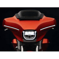 kolor WHISKEY FIRE Harley-Davidson 2024
